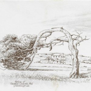 Leaning tree card – print by Peter Rohan